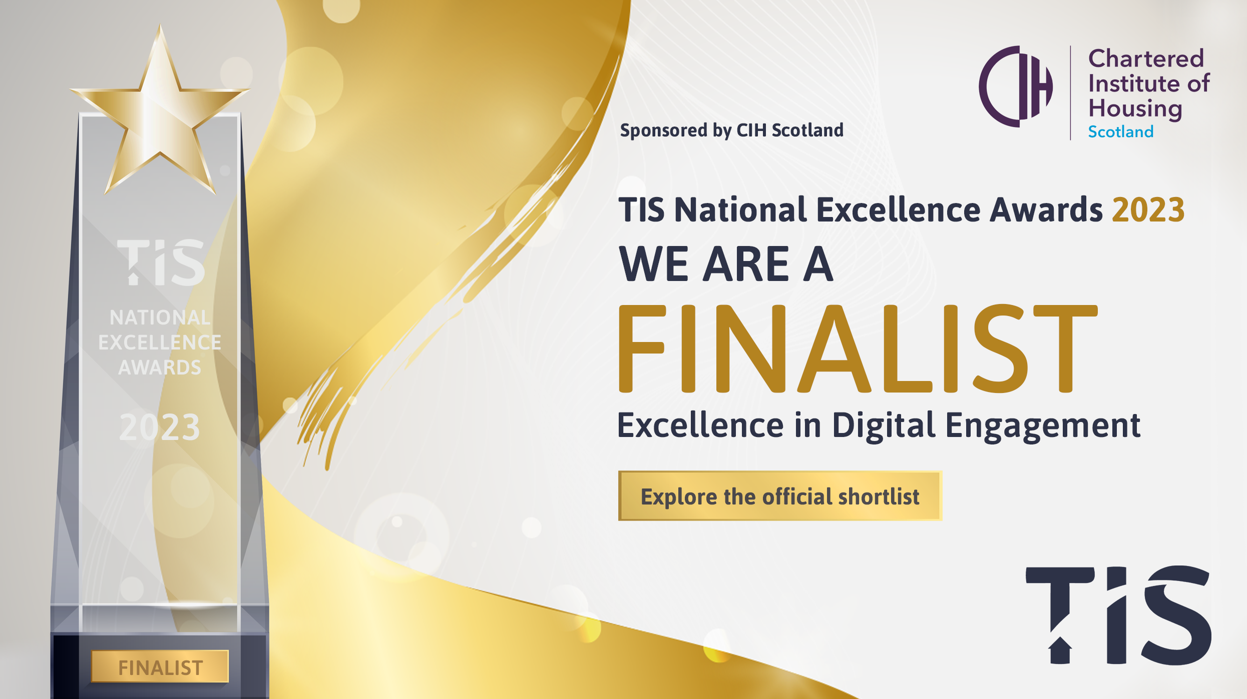 TIS National Excellence Awards finalist graphic
