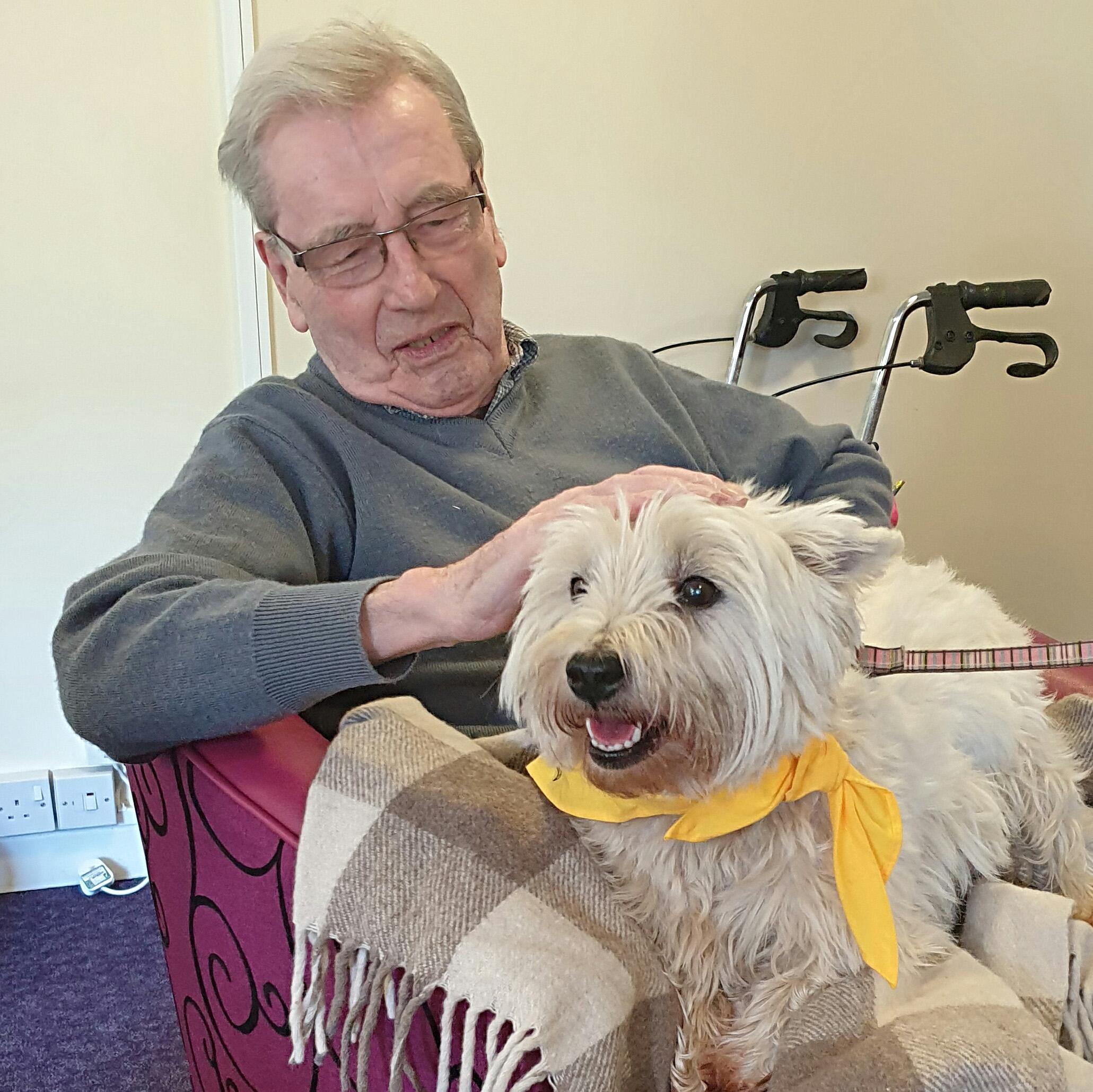 Dog sitting on tenant's knee